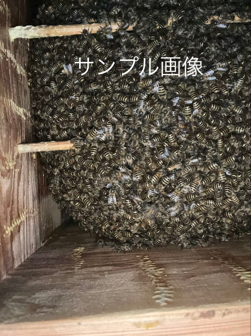 日本蜜蜂重箱式巣箱の継箱三箱！ハニーズハウス用！二セット！送料無料！