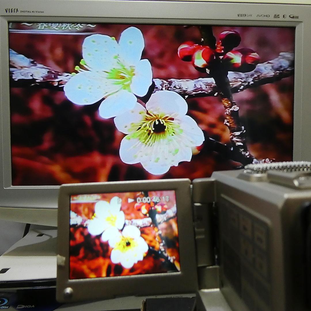 美品・動作品 ソニー DCR-PC1 MiniDVビデオカメラ ダビングに最適