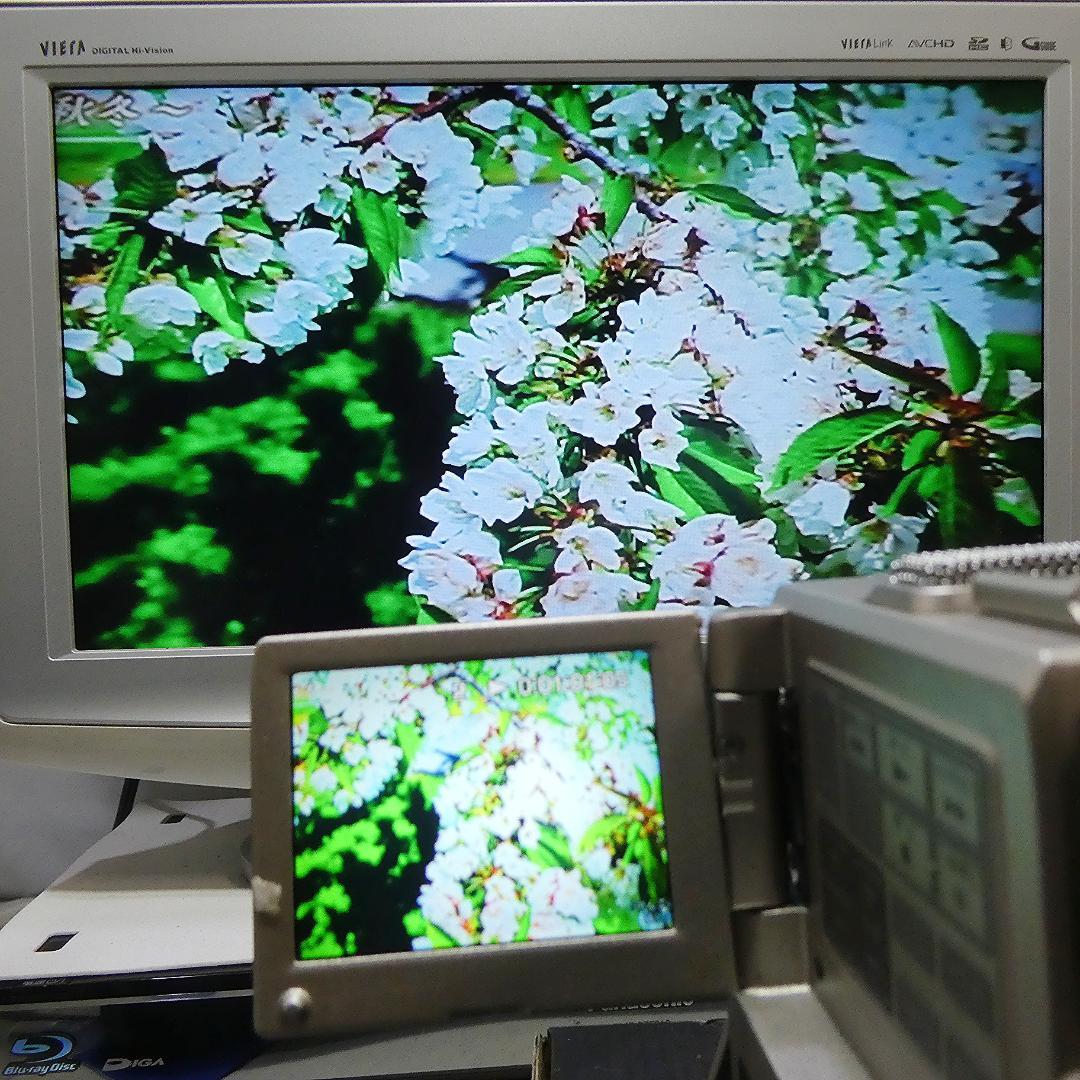 美品・動作品 ソニー DCR-PC1 MiniDVビデオカメラ ダビングに最適