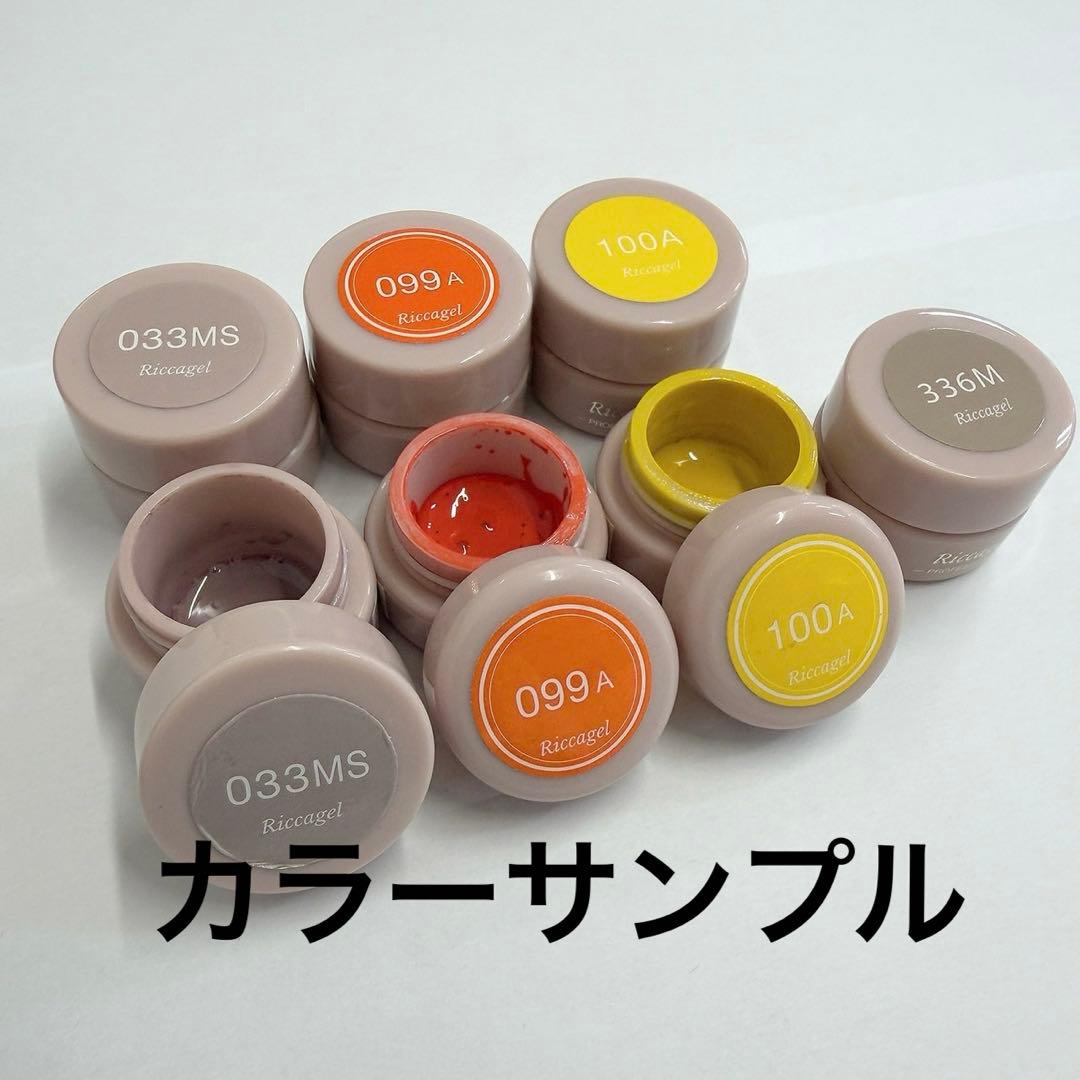 【未開封未使用】PREGELプリジェルRiccagelリッカジェル１２点セット