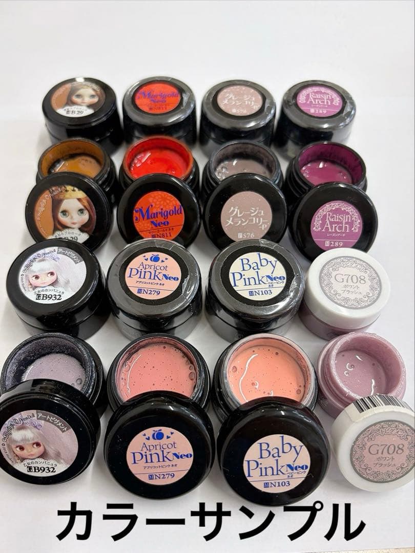【未開封未使用】PREGELプリジェルRiccagelリッカジェル１２点セット