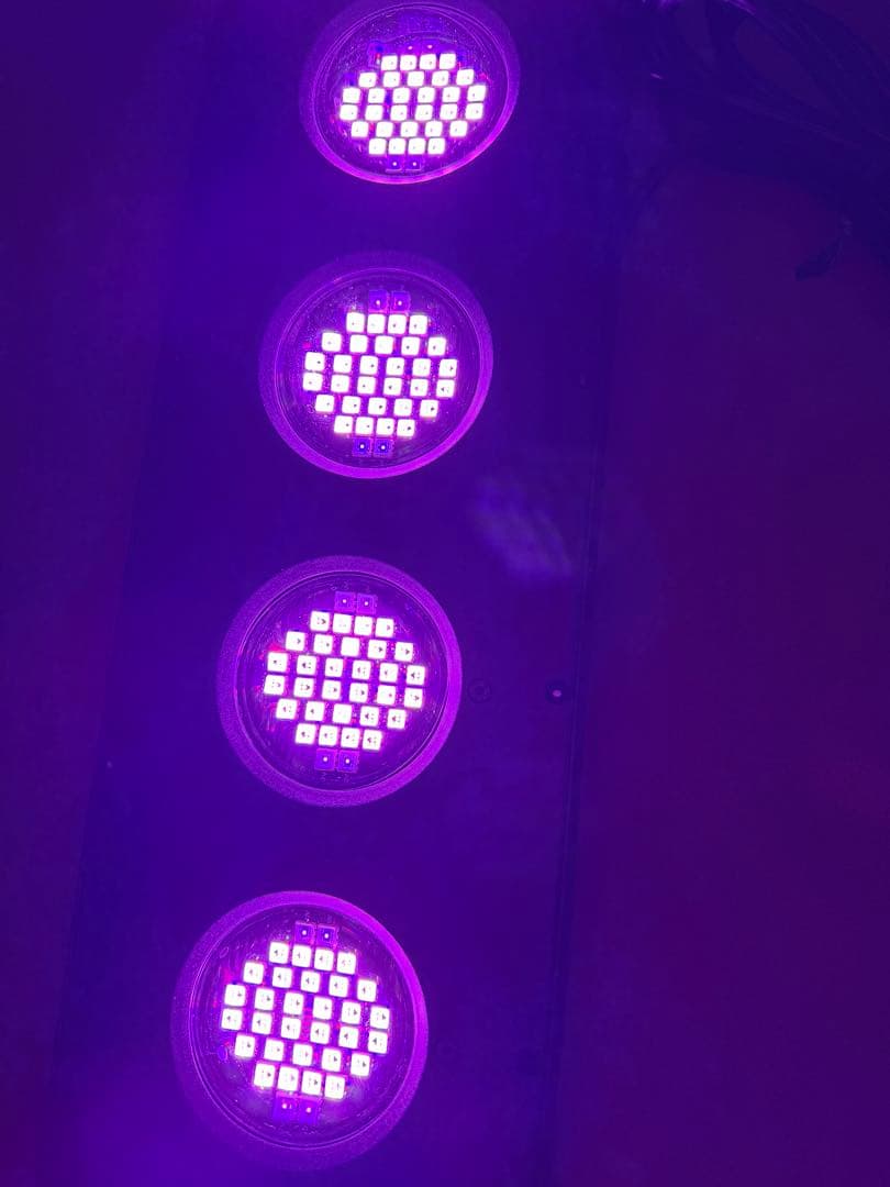 ライト・照明器具 WEEK AQUA AQUA FLARE UVA Z400 RGB TH