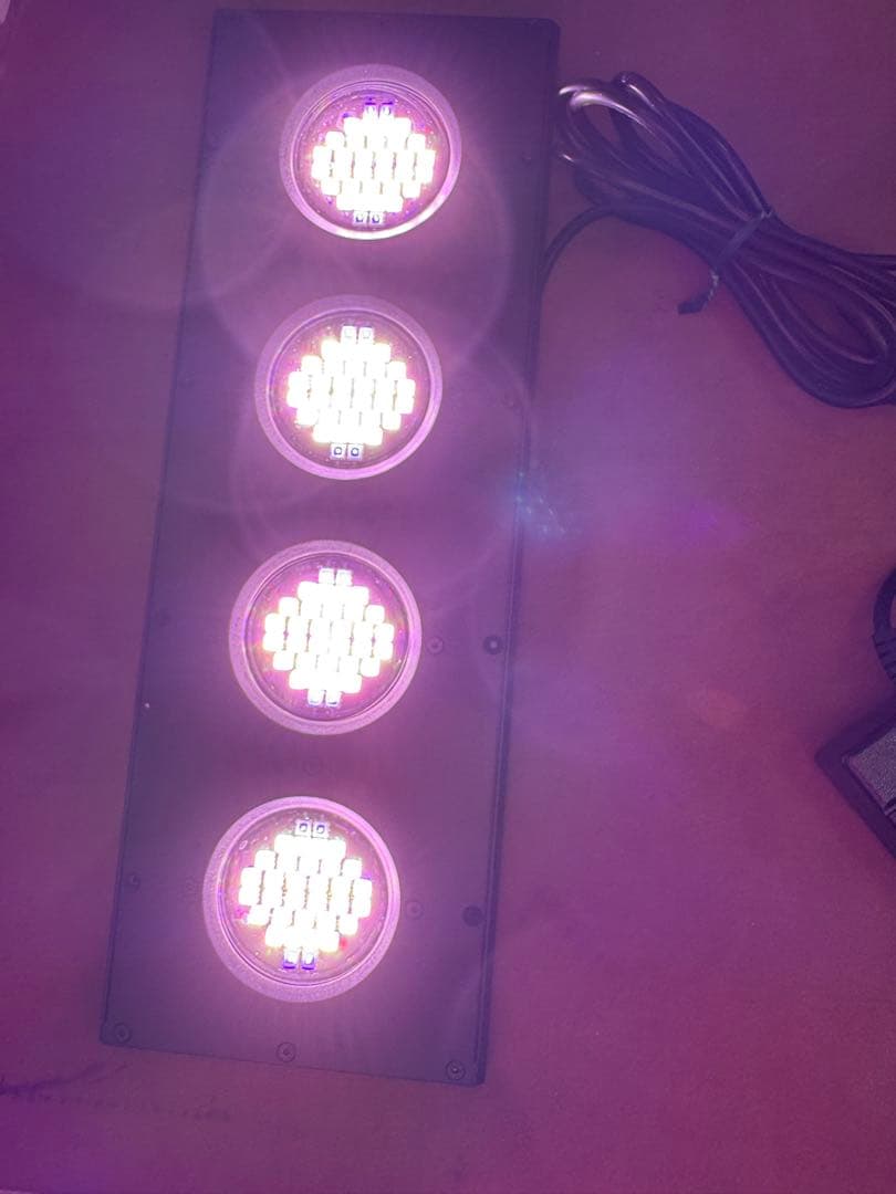 ライト・照明器具 WEEK AQUA AQUA FLARE UVA Z400 RGB TH