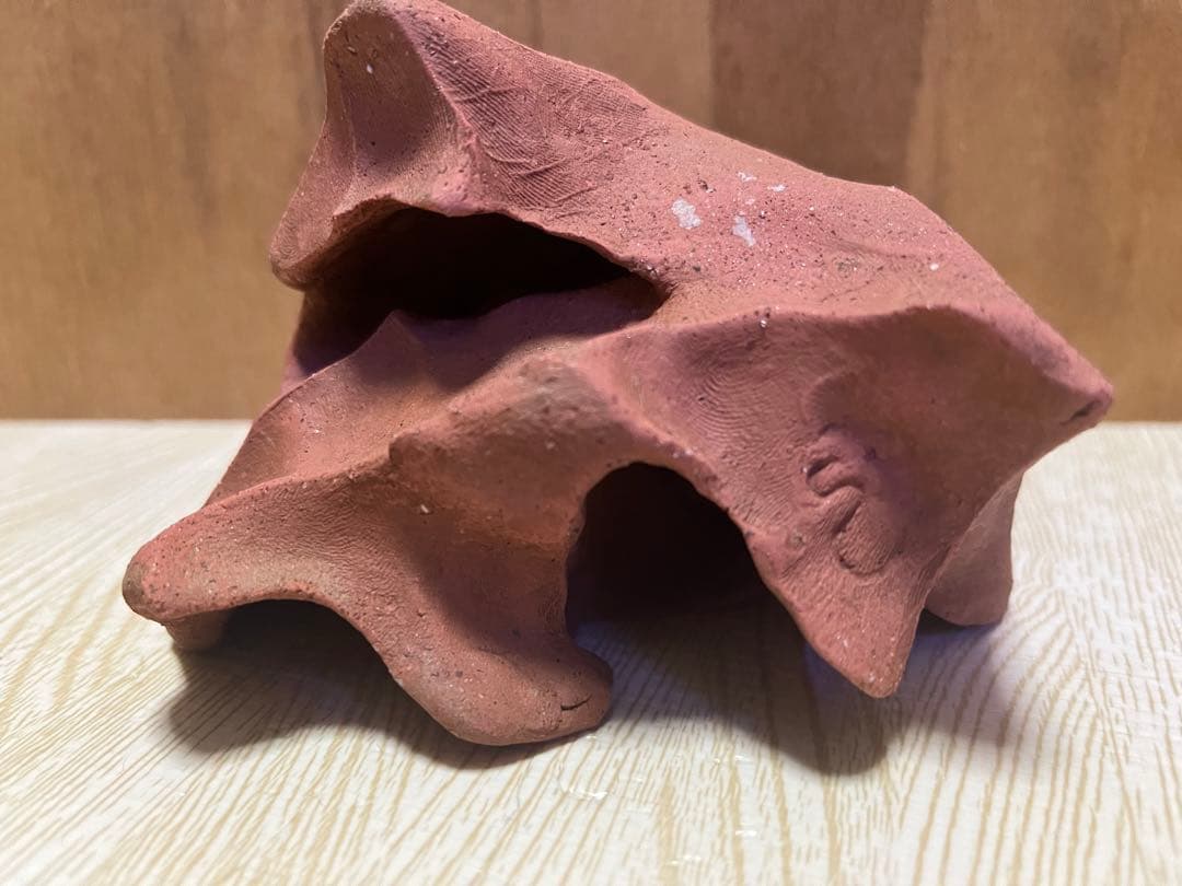 熱帯魚シェルター