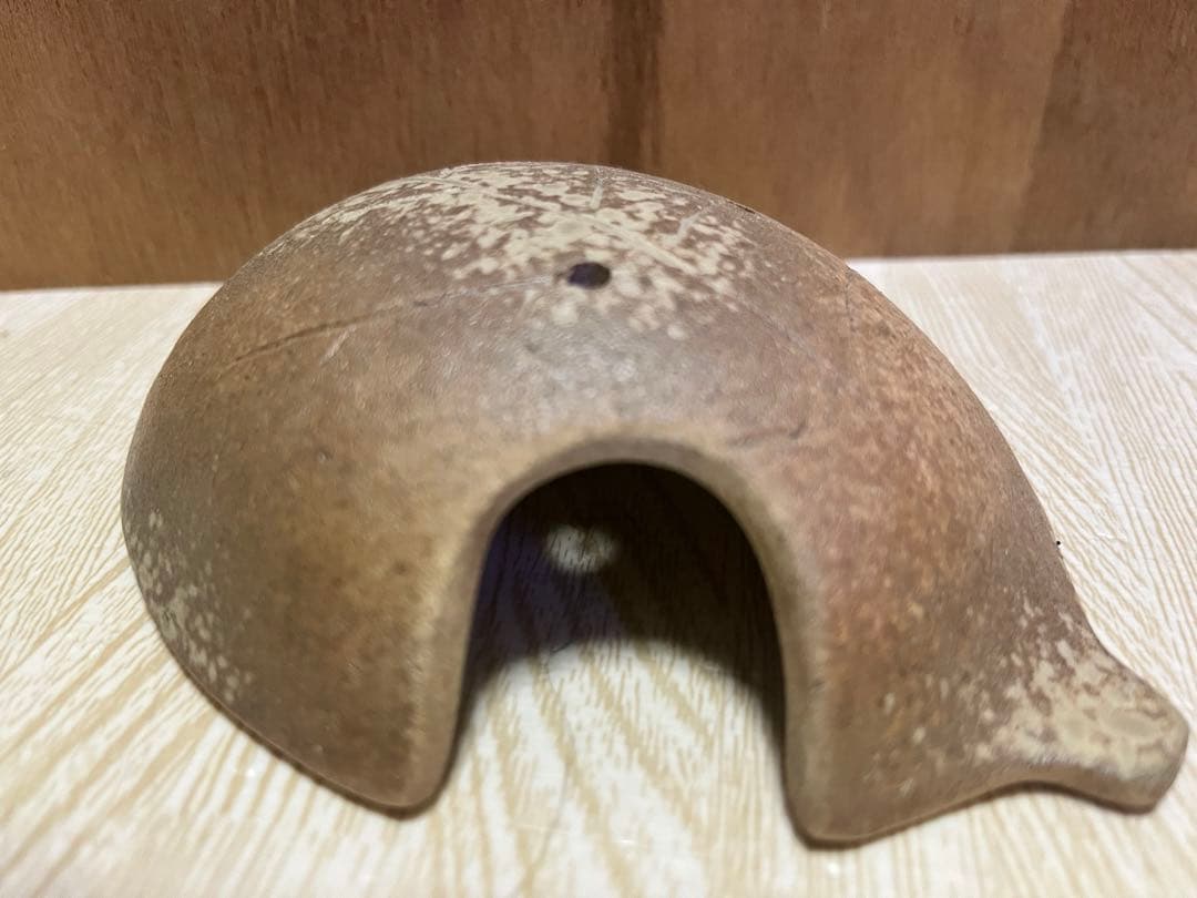 熱帯魚シェルター