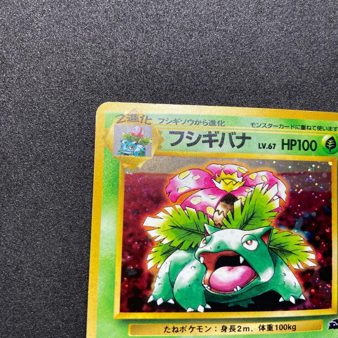 【旧裏ポケモンカード】フシギバナ傷有2枚イントロパック＆★ 第1弾拡張パック