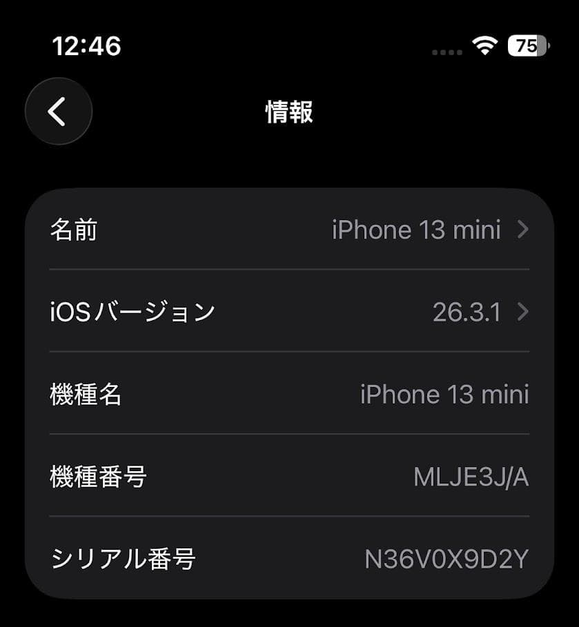 【美品】 iPhone 13 mini 128GB 保護フィルム ケース付き