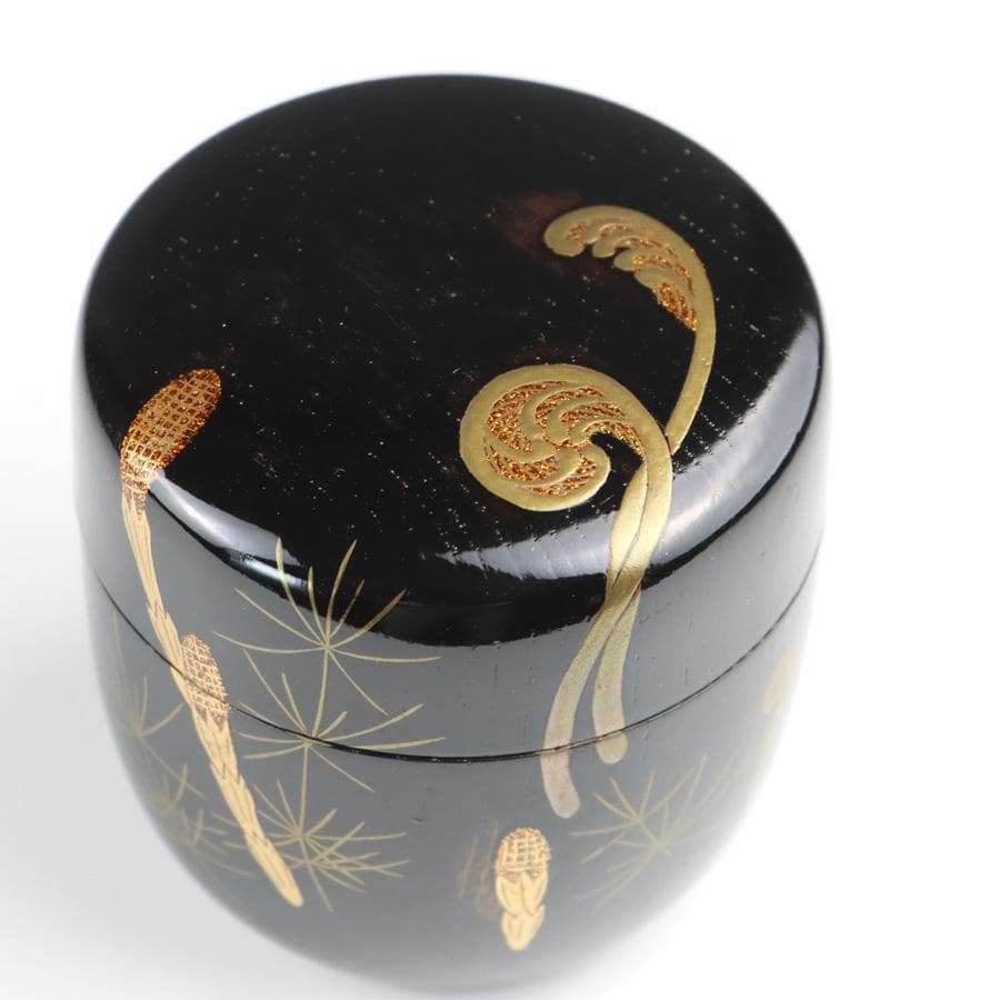Y2888-8 茶道具 山上幸舟 金蒔絵「蕨に土筆」中棗 共箱　　＃13