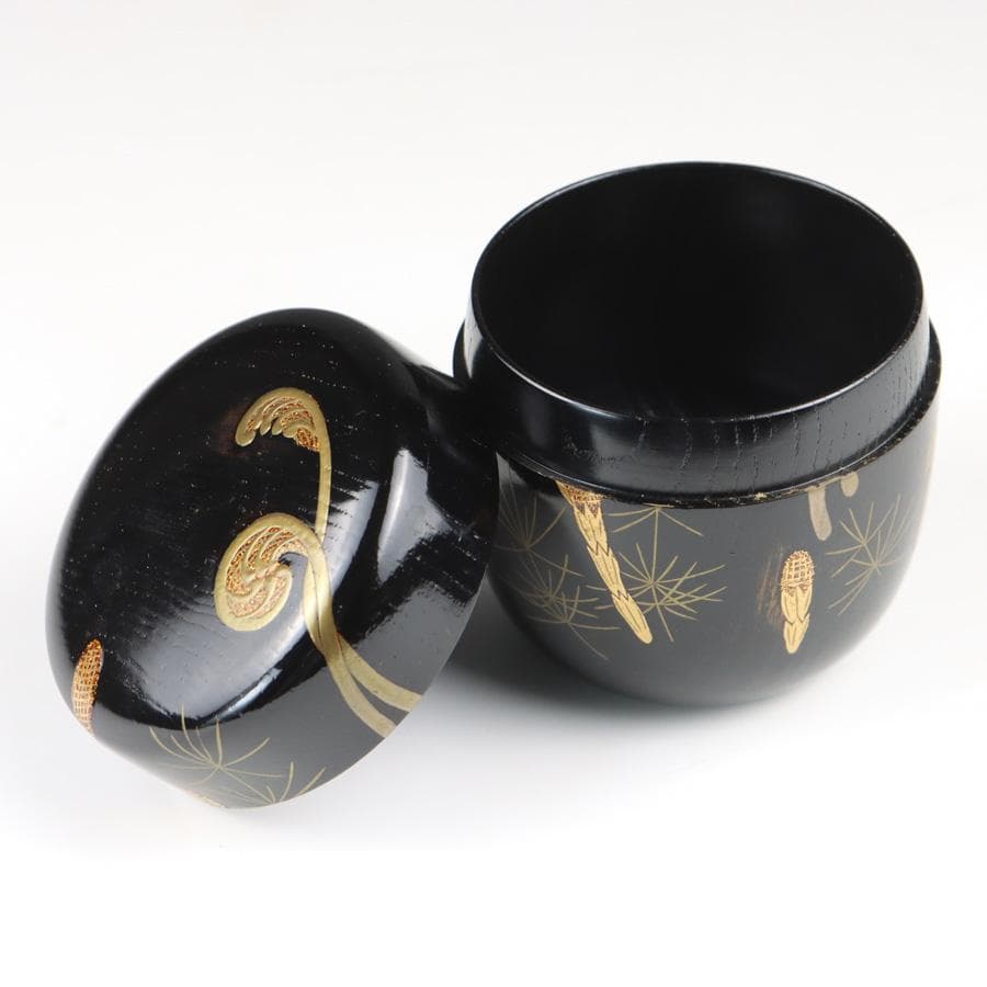 Y2888-8 茶道具 山上幸舟 金蒔絵「蕨に土筆」中棗 共箱　　＃13