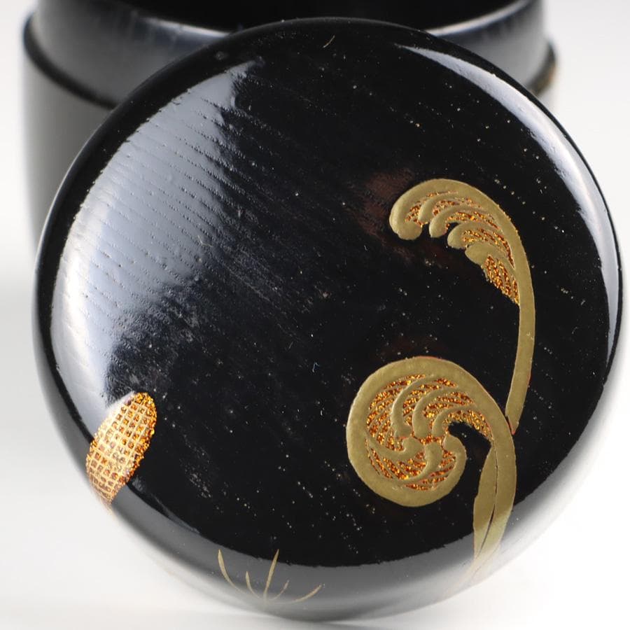 Y2888-8 茶道具 山上幸舟 金蒔絵「蕨に土筆」中棗 共箱　　＃13