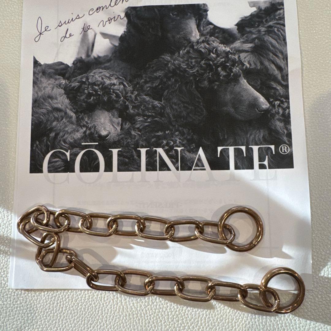 小型犬用　COLINATE リング付きチェーン
