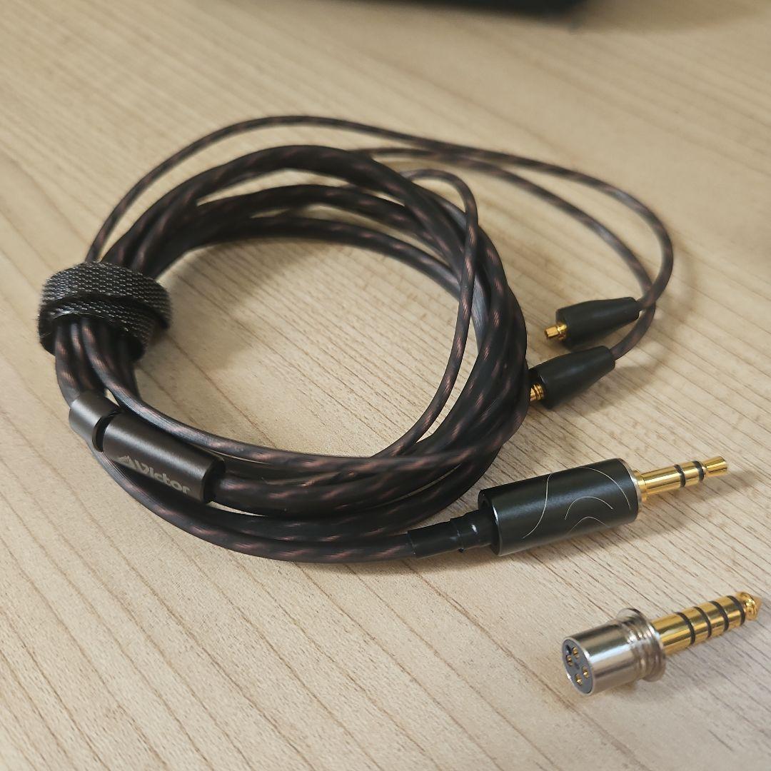 イヤホン victor jvc HA-FW10000