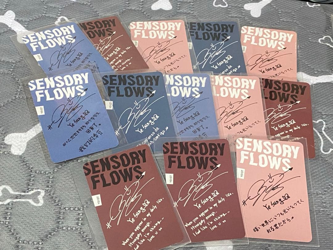 イェソン SENSORY FLOWS トレカ13枚セット