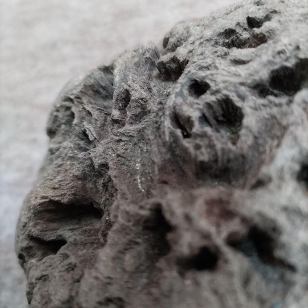 自然石　鑑賞石 　D602