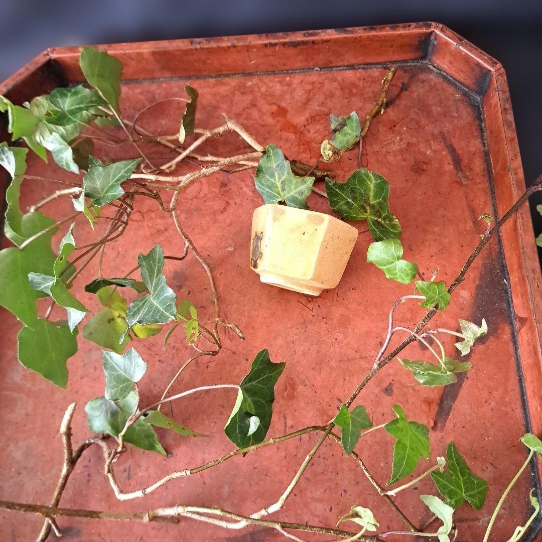 「亀のいる 黄瀬戸のぐい呑み」 六角陶器(幅6cm 高さ4cm) 骨董アンティー