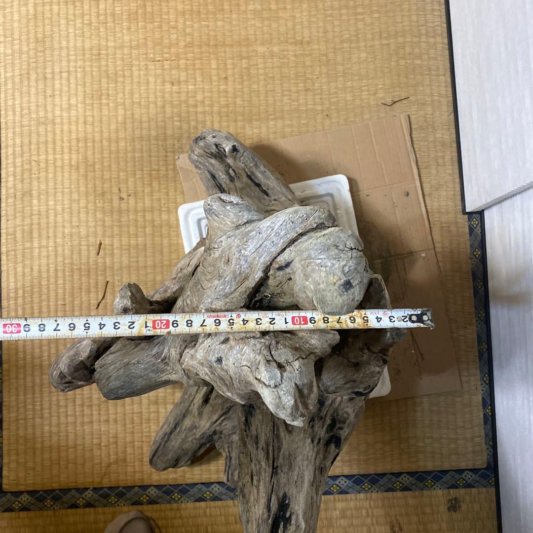 【特大】天然流木　アクアリウム、爬虫類用