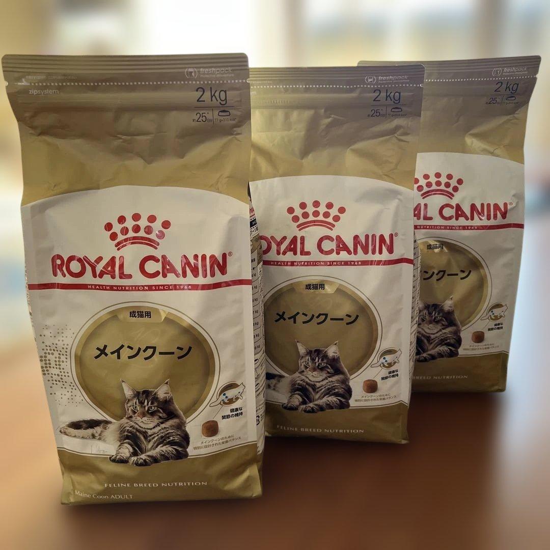  CANIN メインクーン 2kg 3袋セット
