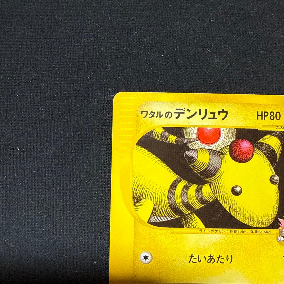 ワタルのプテラ ワタルのデンリュウ