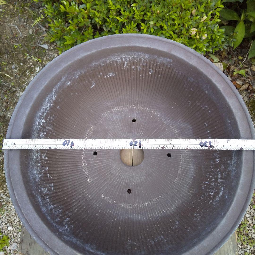 盆栽鉢 大品 12号 松柏類 無釉 泥鉢 泥物 外縁 丸 陣笠 彫入 雲龍文