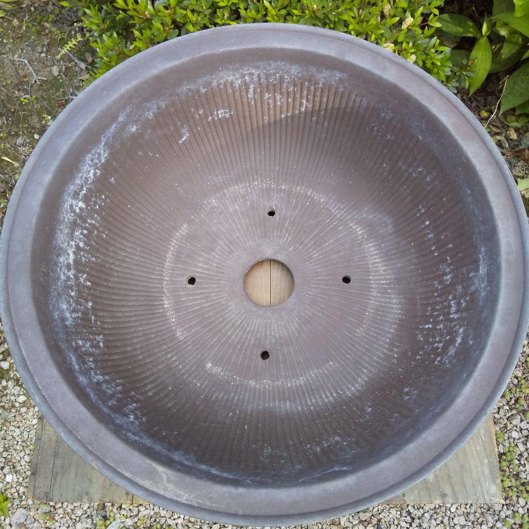 盆栽鉢 大品 12号 松柏類 無釉 泥鉢 泥物 外縁 丸 陣笠 彫入 雲龍文