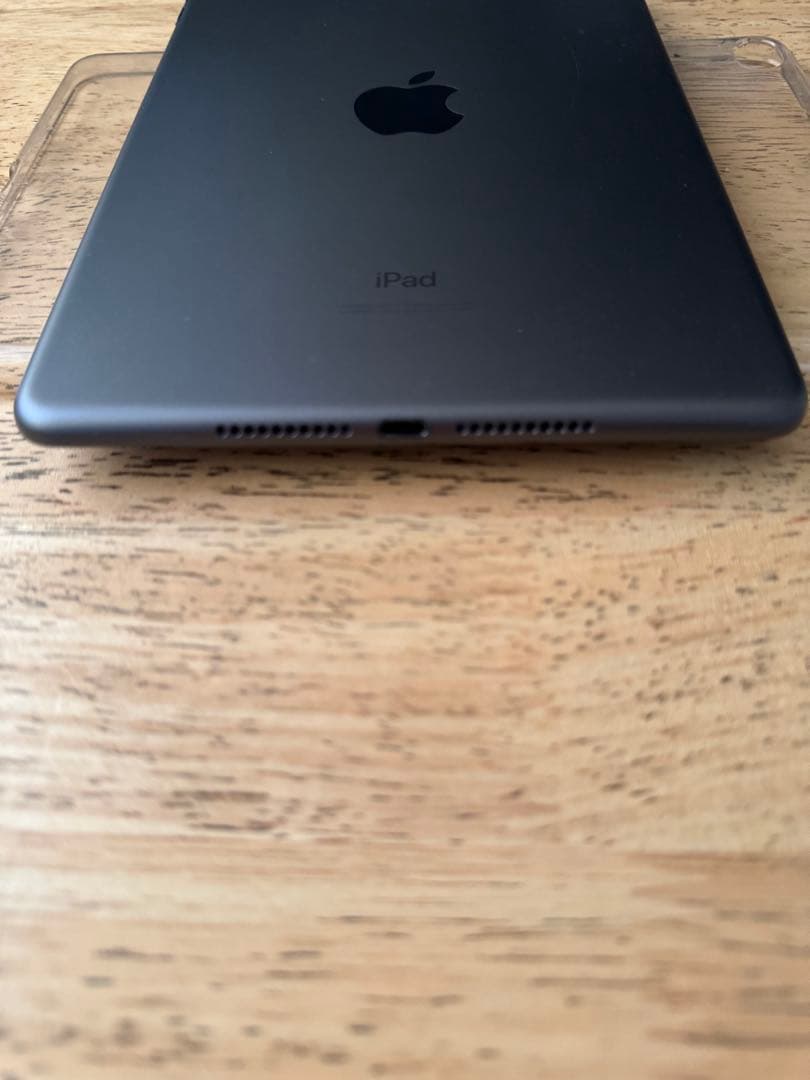 Apple iPad mini第５世代64GB セルラーモデル