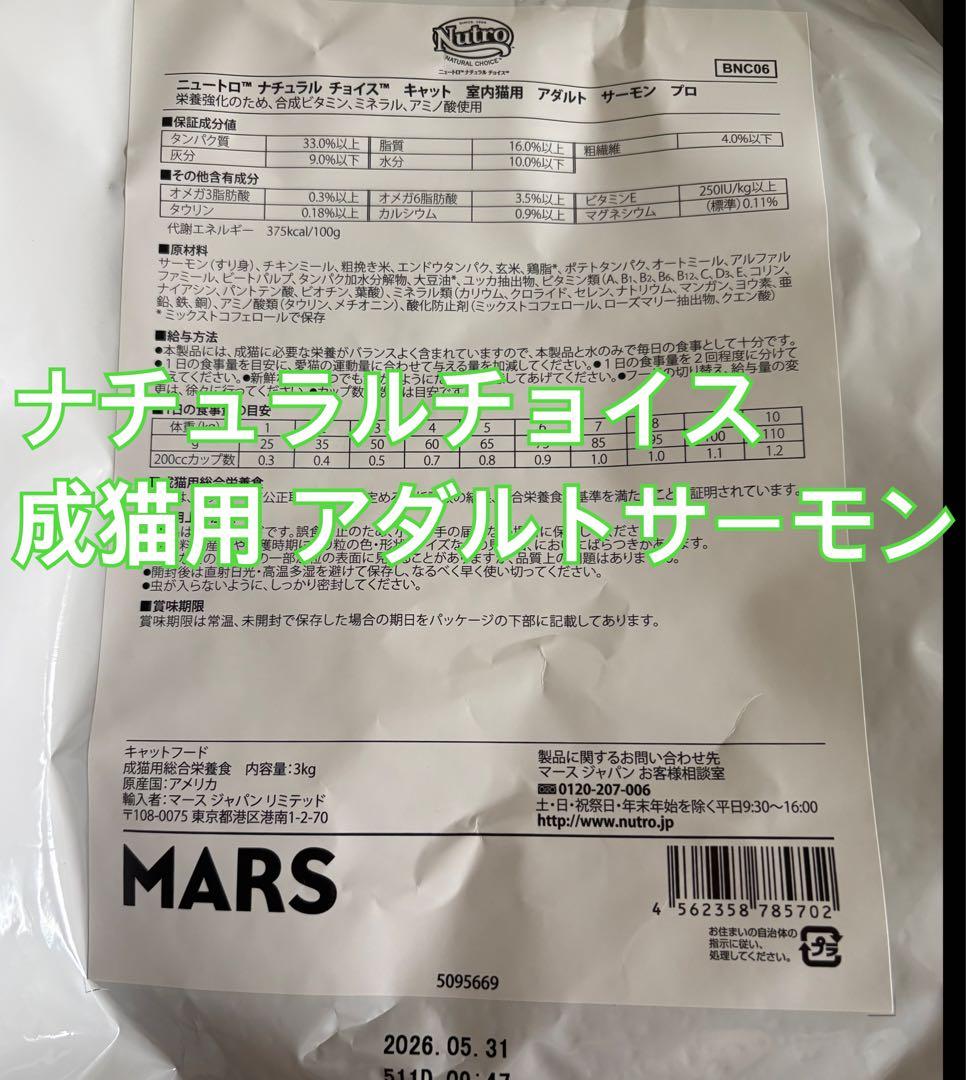 アダルトサーモン