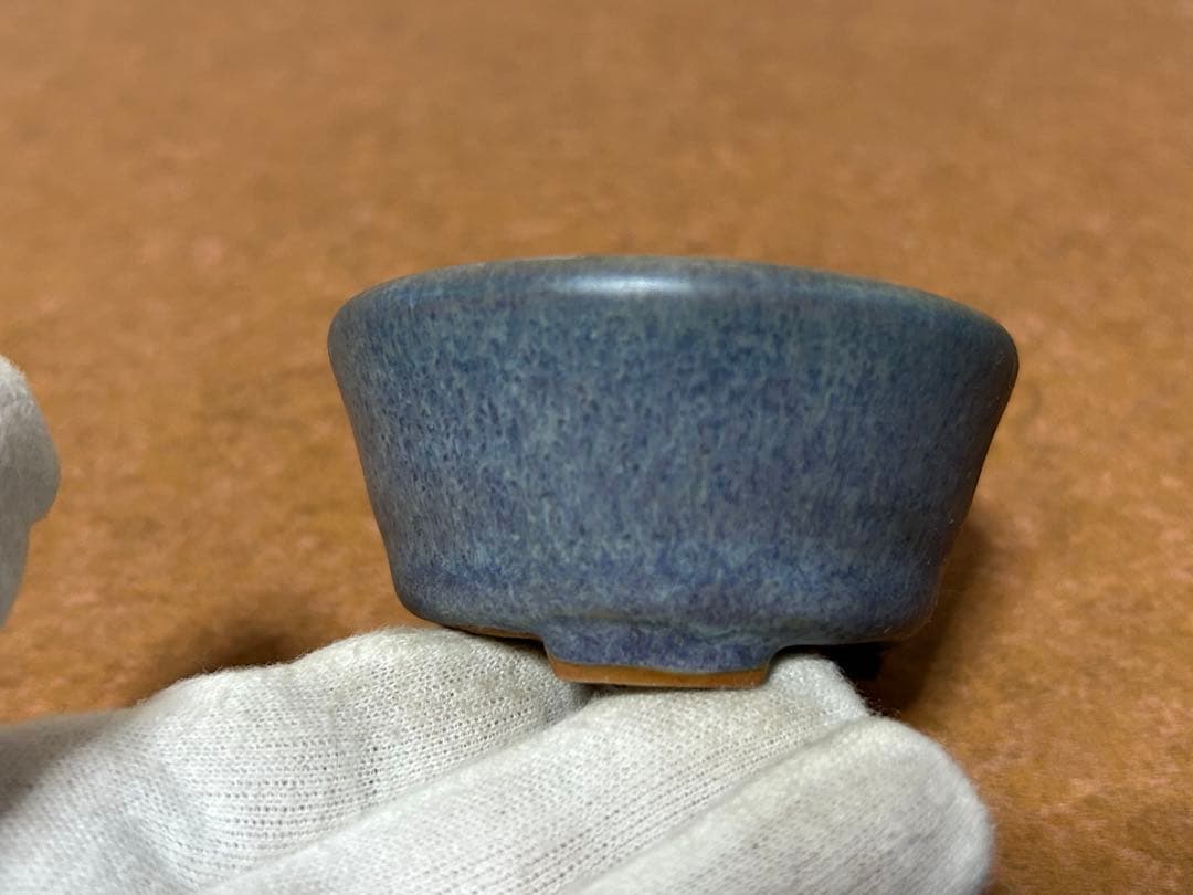 春山　盆栽小鉢　小品盆栽　山野草