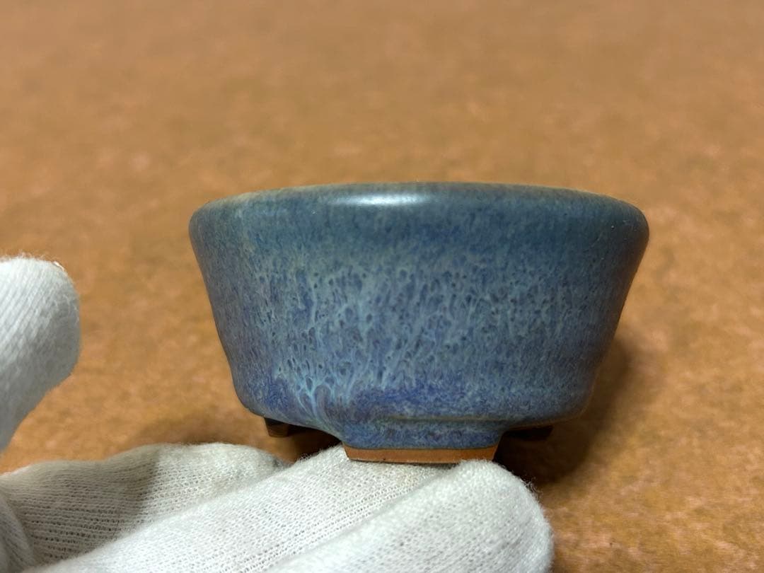 春山　盆栽小鉢　小品盆栽　山野草