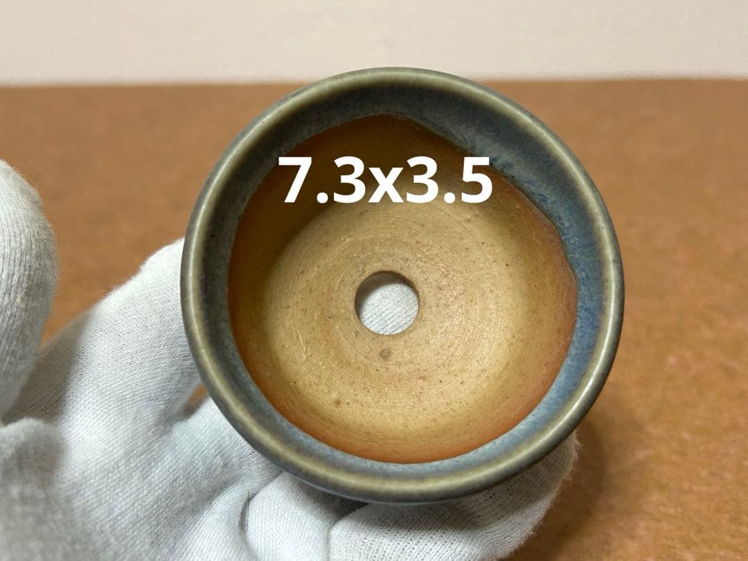 春山　盆栽小鉢　小品盆栽　山野草