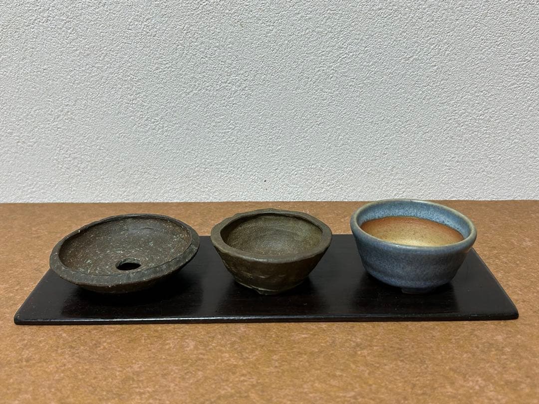 春山　盆栽小鉢　小品盆栽　山野草