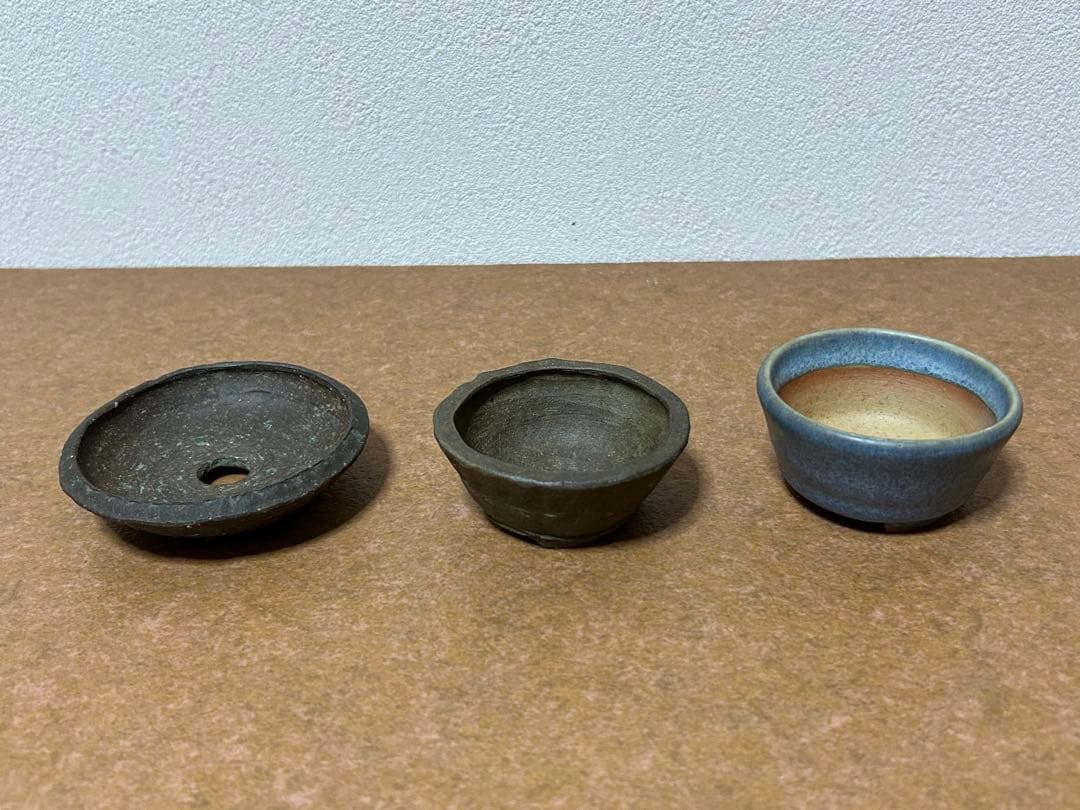 春山　盆栽小鉢　小品盆栽　山野草
