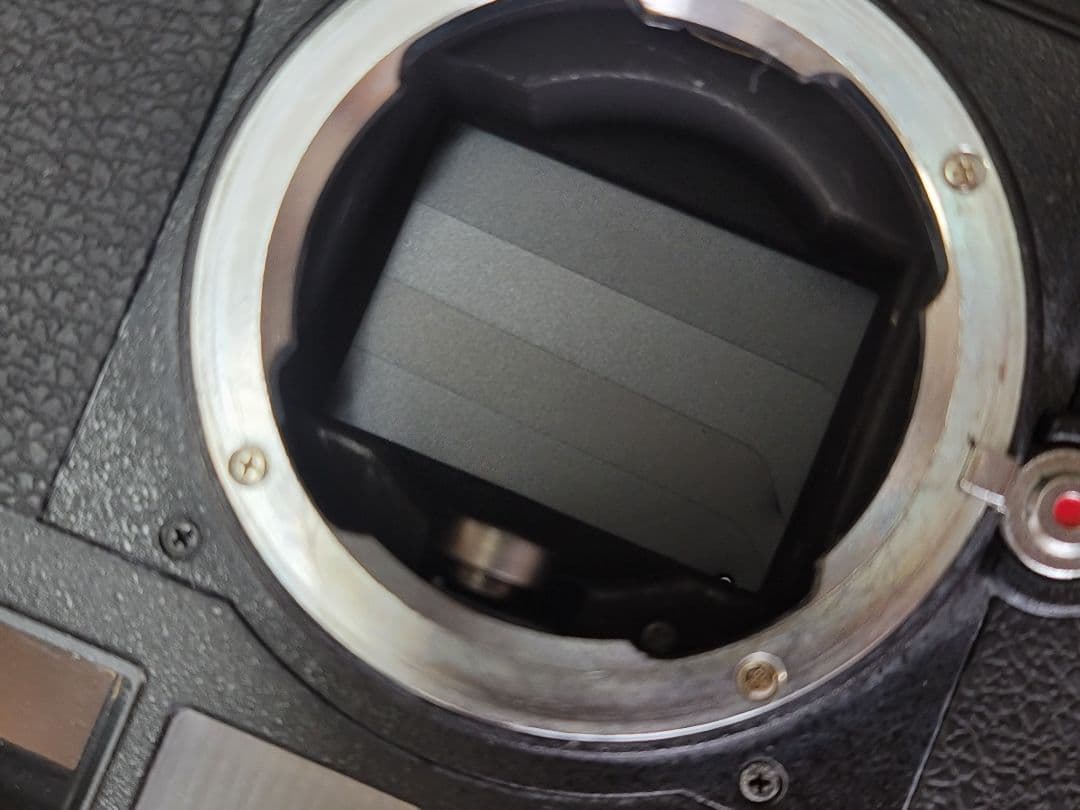 Epson R-D1S デジタルカメラ