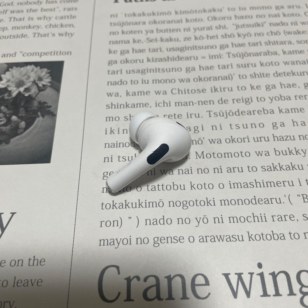 ⑩ 984974 Apple社純正品 AirPods Pro 第2世代 のみ