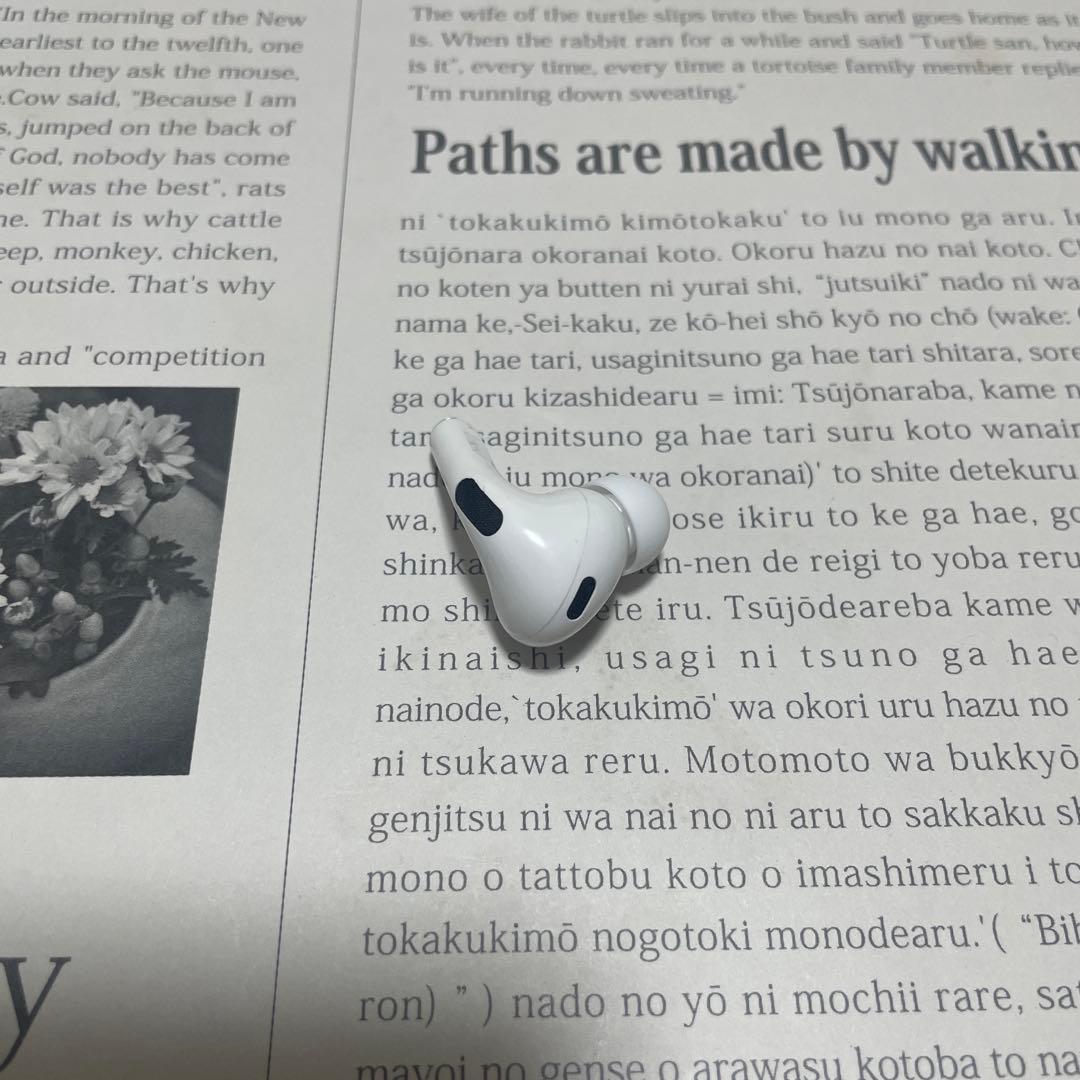 ⑩ 984974 Apple社純正品 AirPods Pro 第2世代 のみ