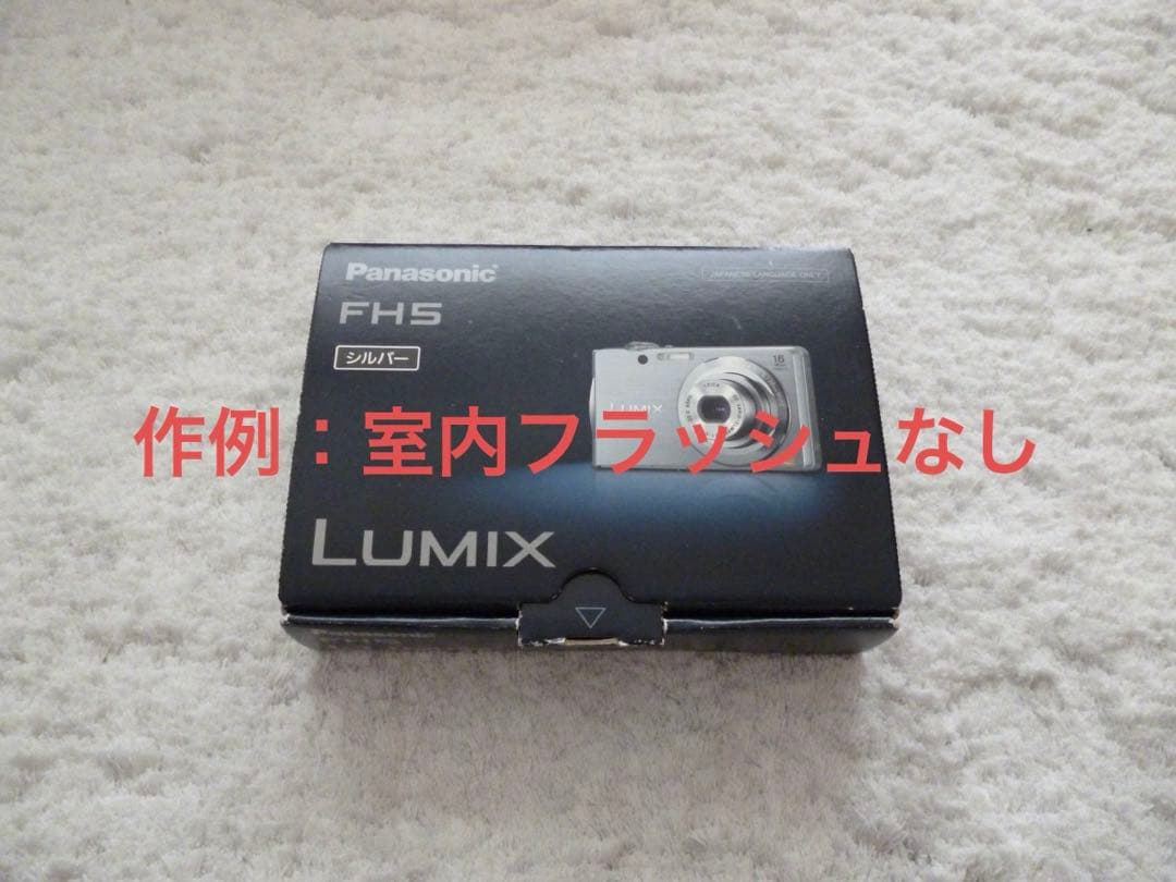 極上品【動作確認済】Panasonic パナソニック LUMIX DMC-FH5