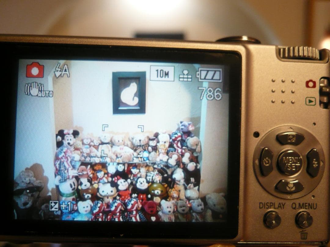 LUMIX★DMC-FX37⭐️極美品⚠️必読有⭕️安心の動作品