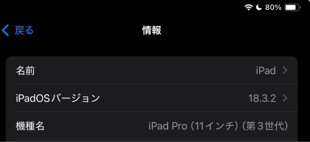 iPad Pro (11インチ)(第三世代)256GB