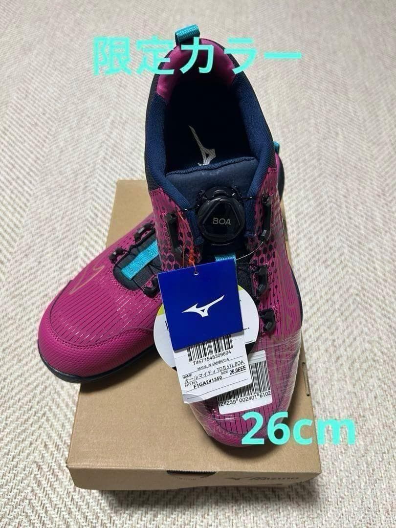 ラスト1点　新品　限定カラー　26.0cm 　Mizuno BOAシステム