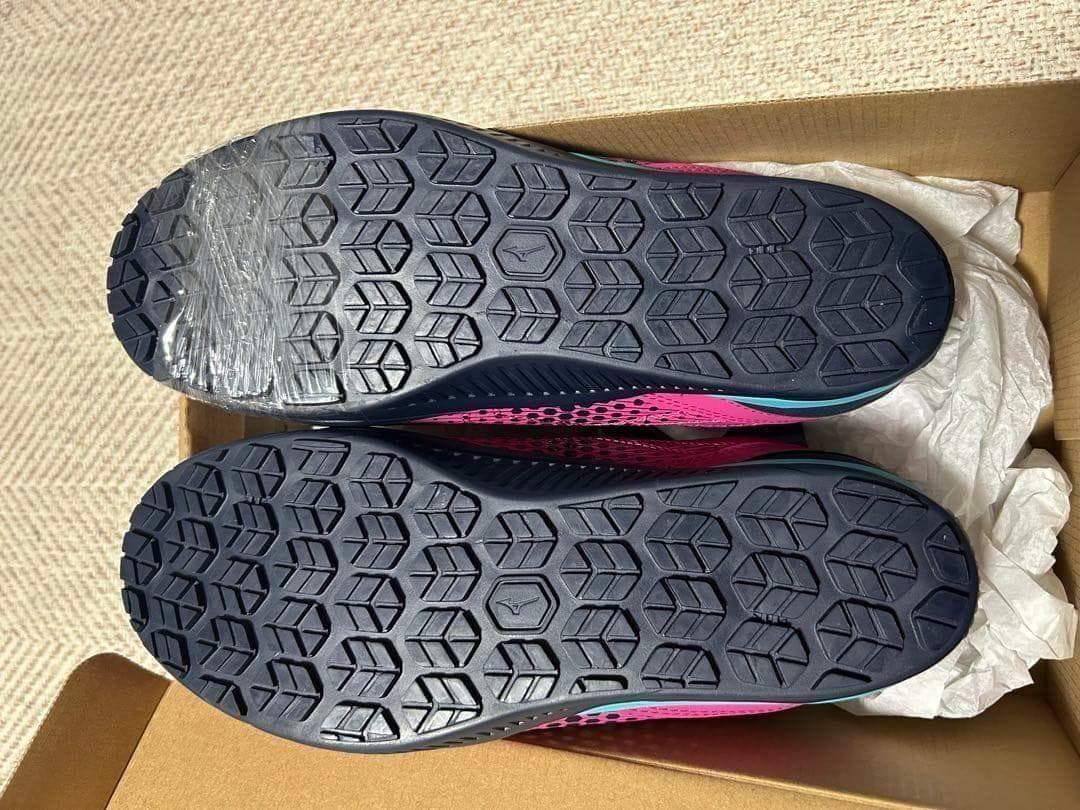 ラスト1点　新品　限定カラー　26.0cm 　Mizuno BOAシステム