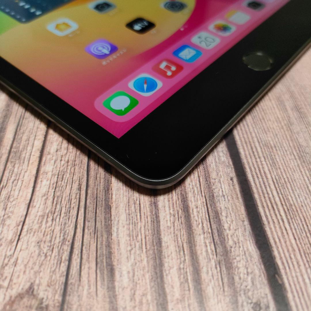 iPad mini 第5世代 64GB SIMフリー バッテリー93% 超美品