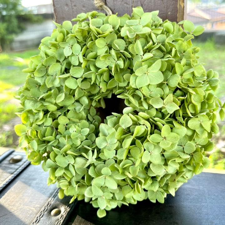 アナベル紫陽花　リース