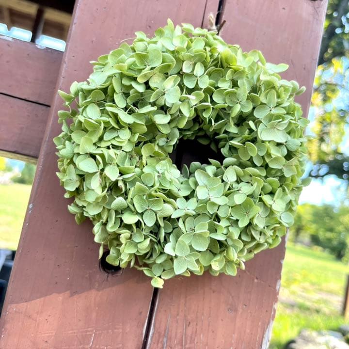 アナベル紫陽花　リース