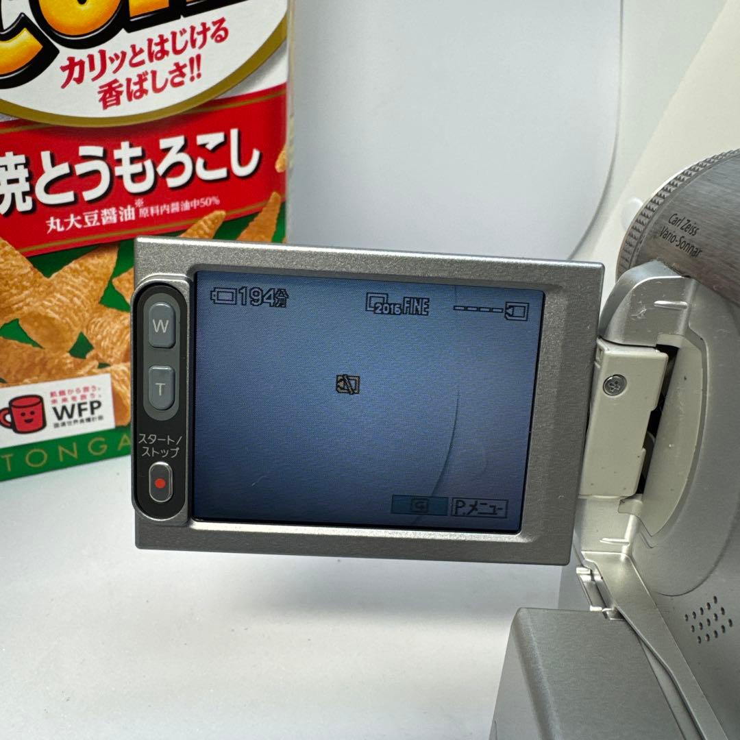 SONYハンディカム　DCR-PC350 NTSC DVビデオカメラ　120X