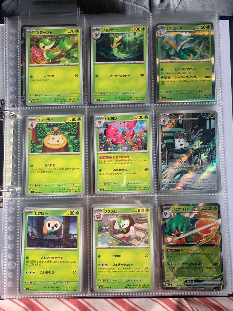 ポケカ まとめ売り SAR1/SR5/AR5/RR8/R12 ジガルデ メイ