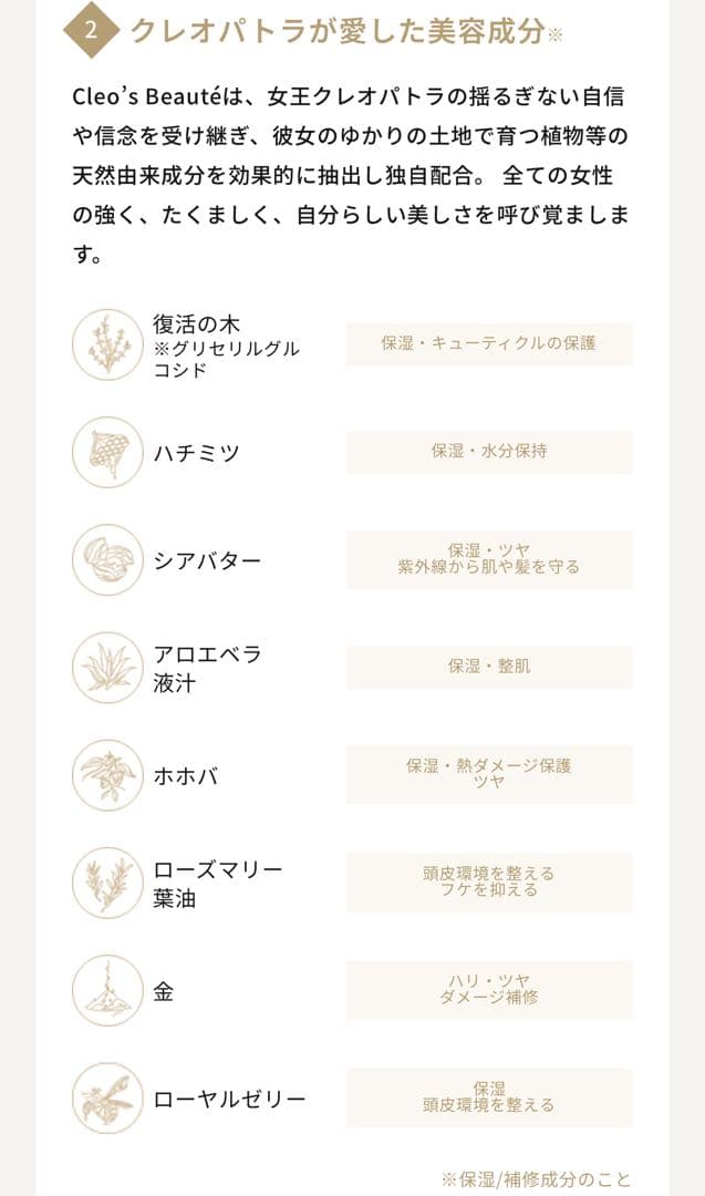 cleo's シャンプー トリートメント セット クレオズボーテ
