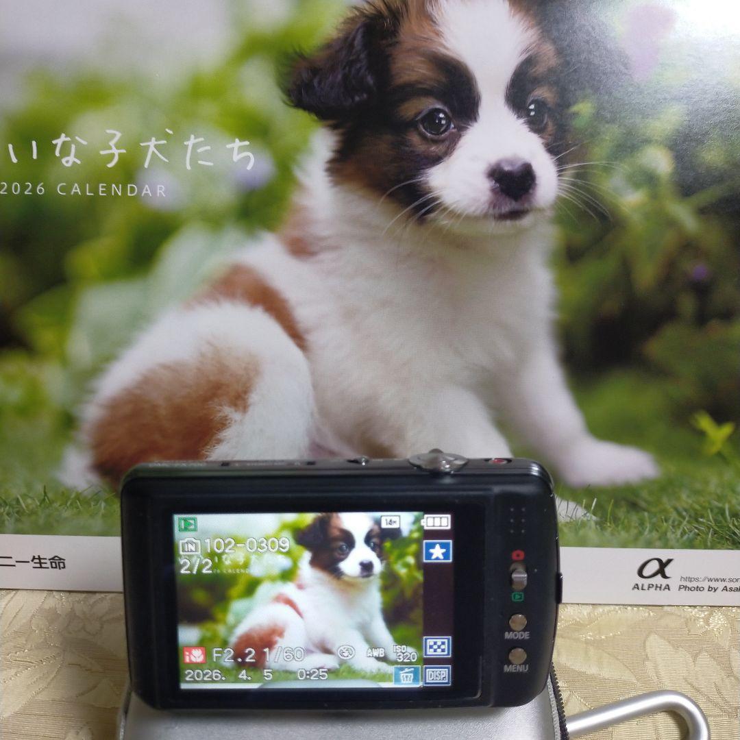 Panasonic LUMIX DMC-FX700 シルバー フルHD
