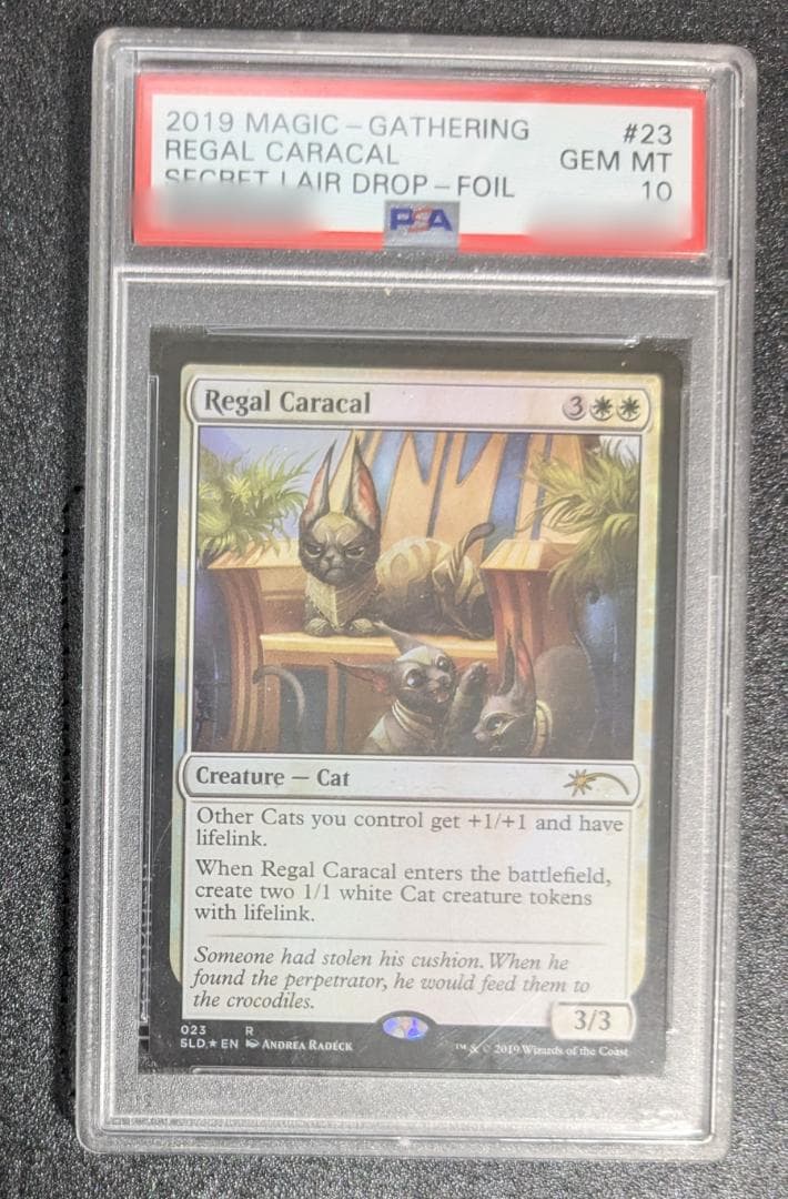 威厳あるカラカル/Regal Caracal PSA 10