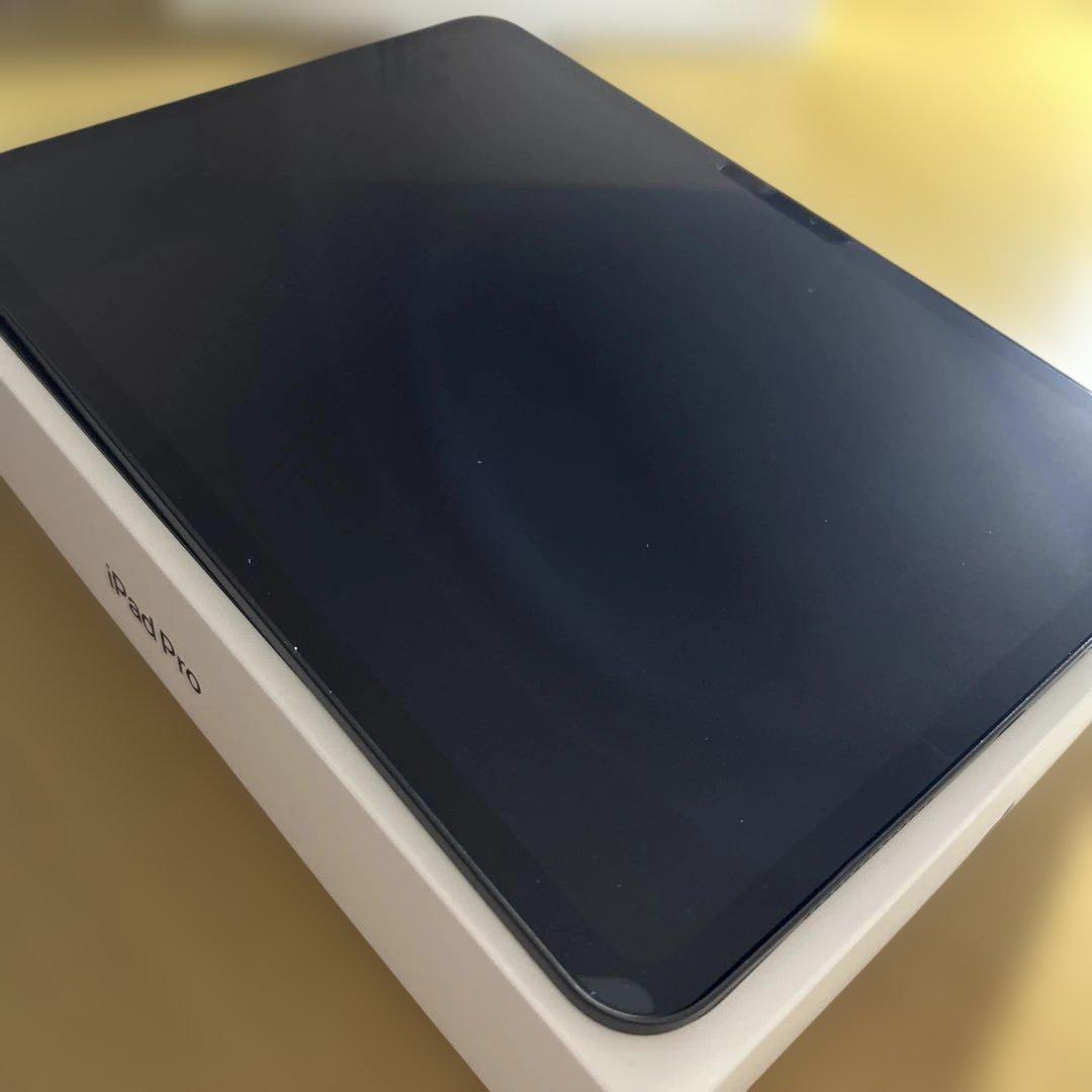 iPad本体 iPadPro M4 256GB
