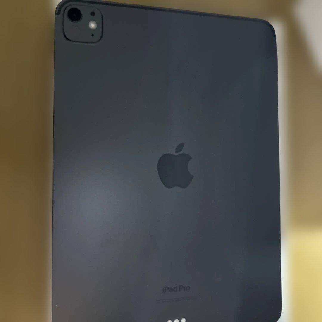 iPad本体 iPadPro M4 256GB