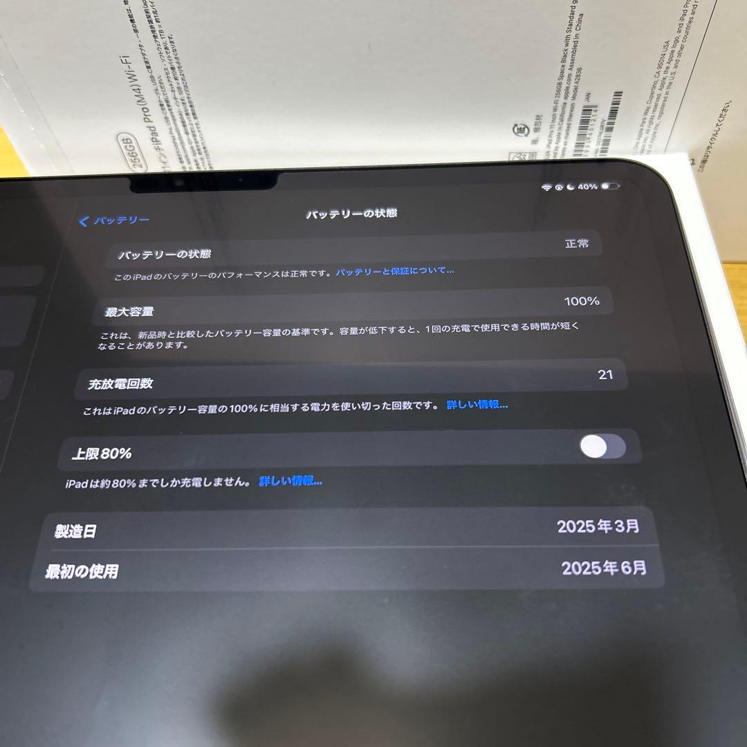 iPad本体 iPadPro M4 256GB